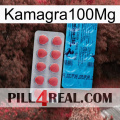 Kamagra100Mg new14